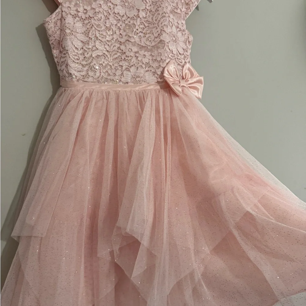 Jona Michelle Blush Lace Dress with Sequins